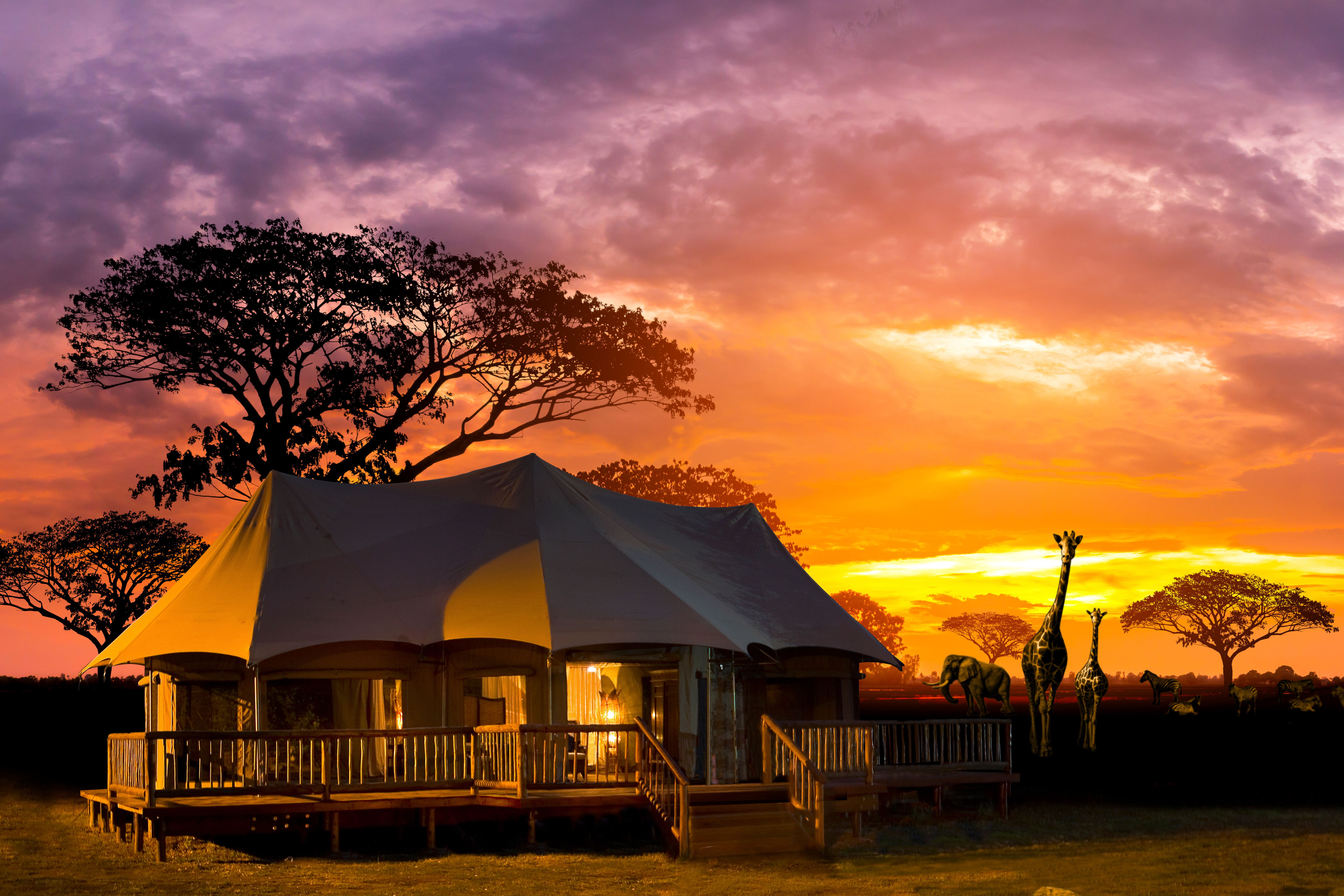 African Safari