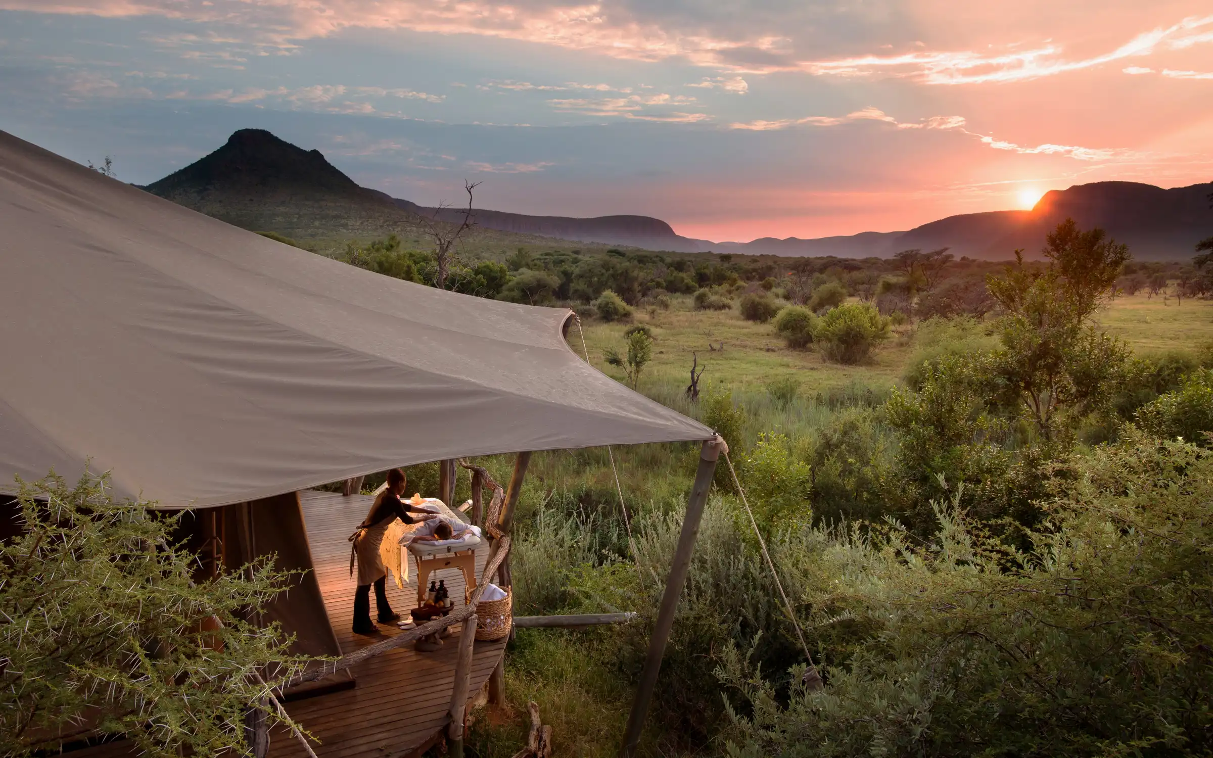 African Safari